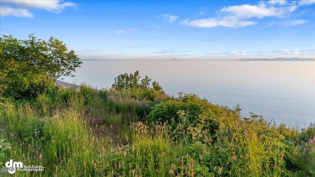 30035 Sterling Highway, Anchor Point, AK 99556