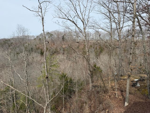 176 The Village Drive, Nancy, KY 42544