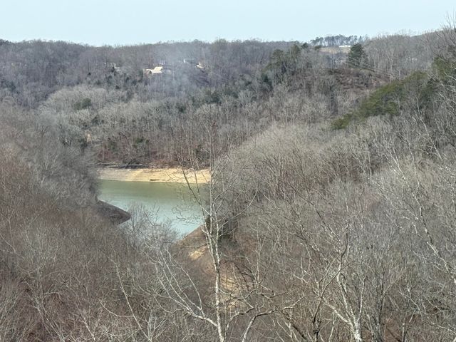 176 The Village Drive, Nancy, KY 42544