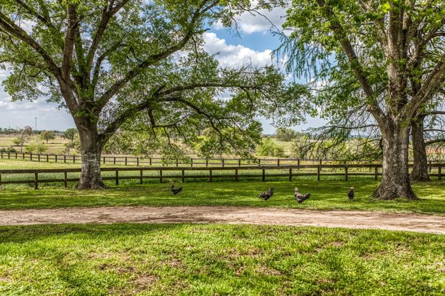 1289 Bluebonnet Ridge Drive, Chappell Hill, TX 77426