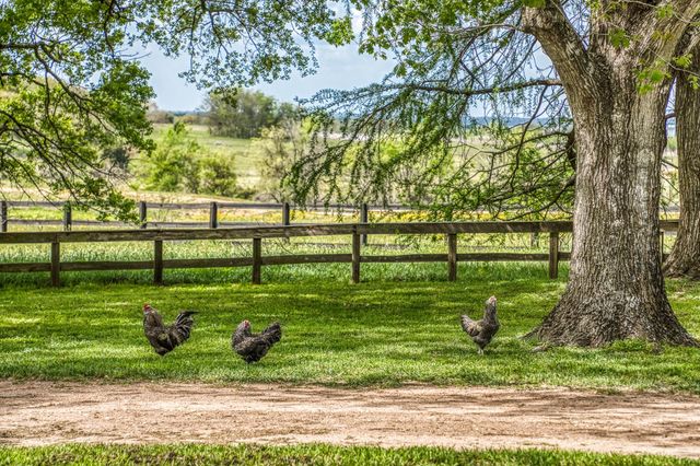 1289 Bluebonnet Ridge Drive, Chappell Hill, TX 77426