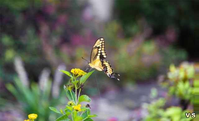 3226 CR-4660, Winnsboro, TX 75494