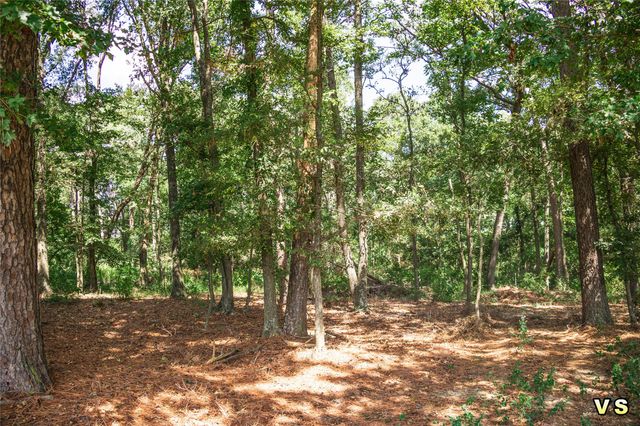 3226 CR-4660, Winnsboro, TX 75494