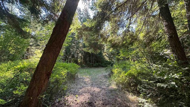 114XX E Antler Rd, Chattaroy, WA 99003