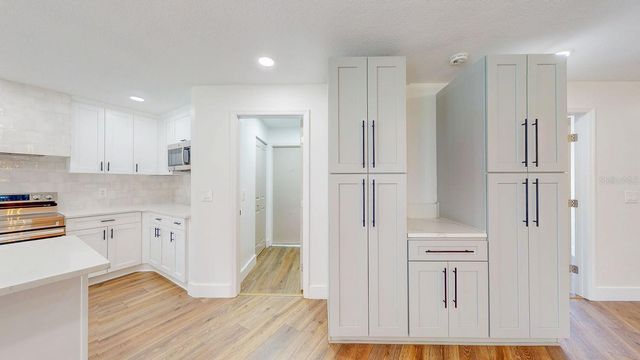 18916 GERACI ROAD, Lutz, FL 33548