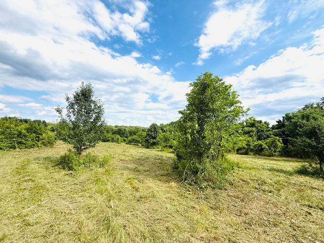 729 Oakland Lane, Harrodsburg, KY 40330
