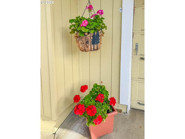 159 Ne LOMBARDY Dr, Roseburg, OR 97470