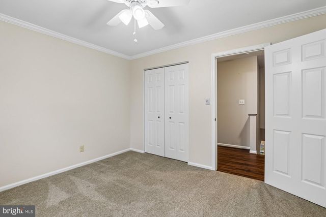 13423 BLACK GUM CT, Chantilly, VA 20151