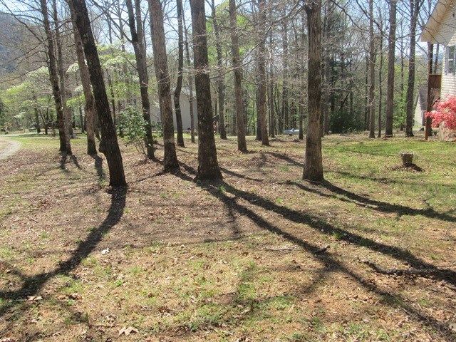 693 Puett Cove, Marble, NC 28960