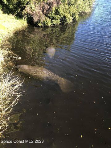 2240 Enjoya Lane, Melbourne, FL 32901