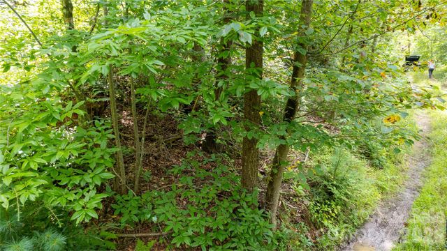 TBD Collettsville Road 9, Collettsville, NC 28611