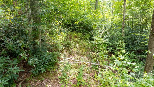 TBD Collettsville Road 9, Collettsville, NC 28611