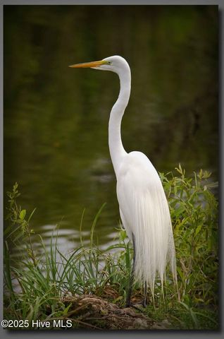 111 Jade Street, Beaufort, NC 28516