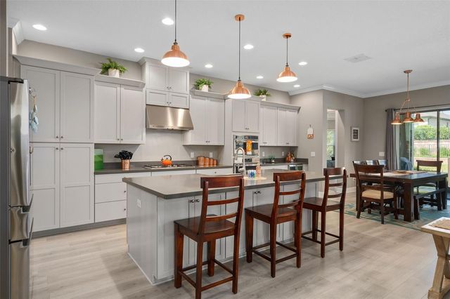 1192 ESPERANZA RIDGE ROAD, Clermont, FL 34715