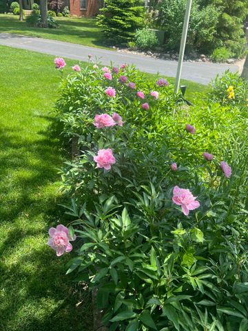 10030 Eagle Court, Demotte, IN 46310