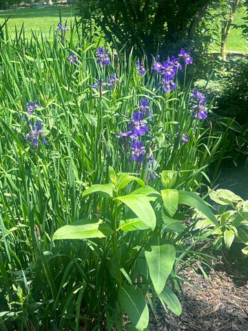 10030 Eagle Court, Demotte, IN 46310