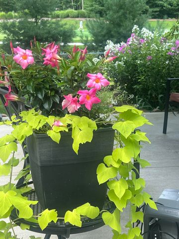 10030 Eagle Court, Demotte, IN 46310