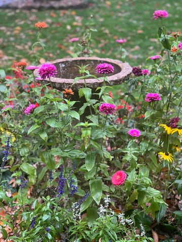 10030 Eagle Court, Demotte, IN 46310