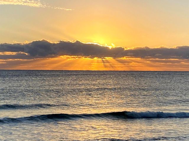 1541 S Ocean Boulevard 413, Lauderdale By The Sea, FL 33062