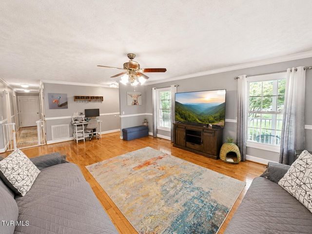 146 Milligan Street, Johnson City, TN 37601