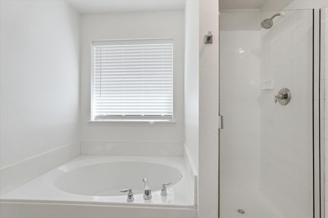 9876 Wild Ginger Drive, Mckinney, TX 75072