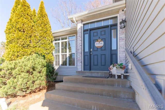 17 Concord Drive, Crystal City, MO 63019