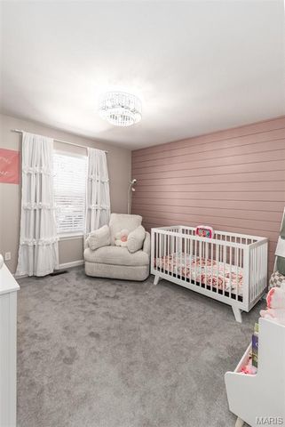 17 Concord Drive, Crystal City, MO 63019