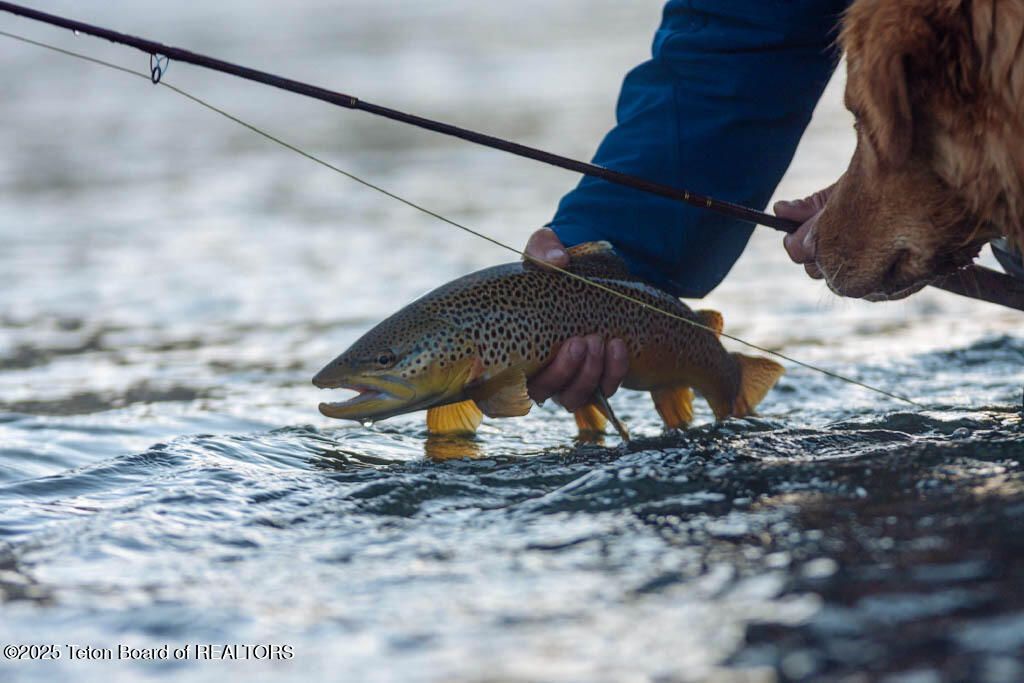 15555 S WAGON ROAD, Jackson, WY 83001 photo 19