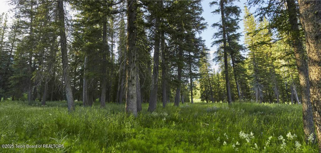 15555 S WAGON ROAD, Jackson, WY 83001 photo 3