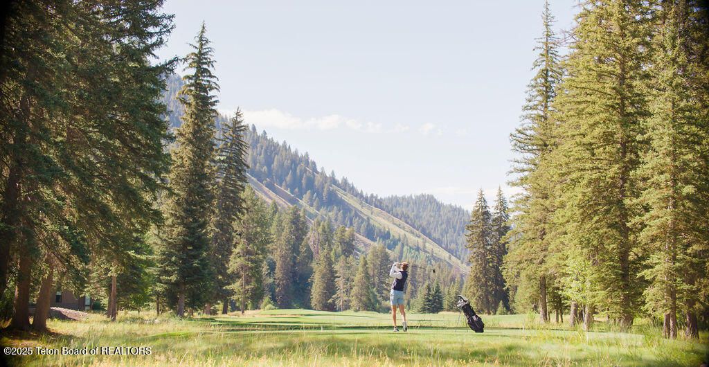 15555 S WAGON ROAD, Jackson, WY 83001 photo 4