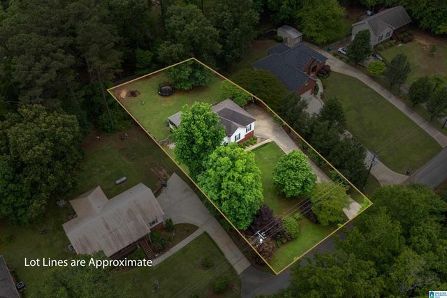 21303 MICHELLE DRIVE, Lake View, AL 35111