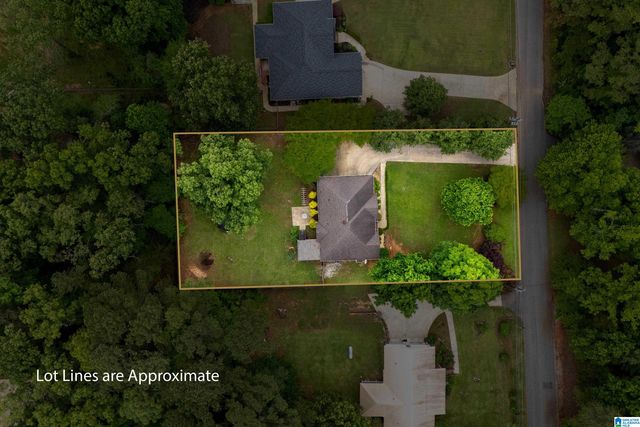 21303 MICHELLE DRIVE, Lake View, AL 35111