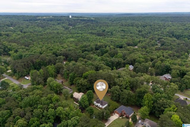21303 MICHELLE DRIVE, Lake View, AL 35111
