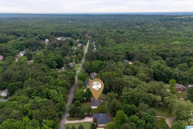 21303 MICHELLE DRIVE, Lake View, AL 35111