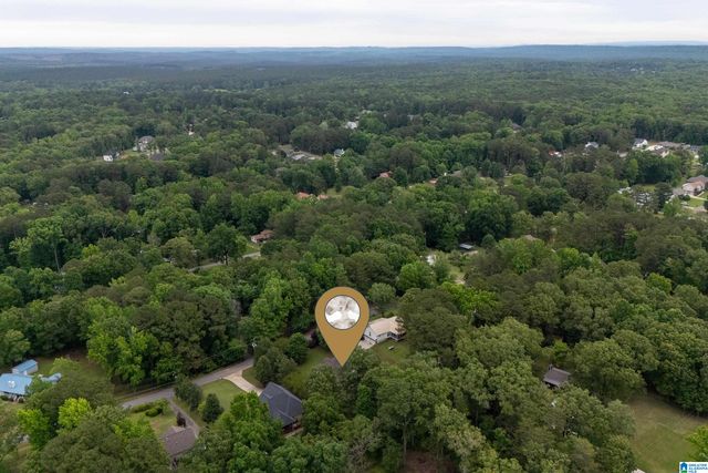 21303 MICHELLE DRIVE, Lake View, AL 35111