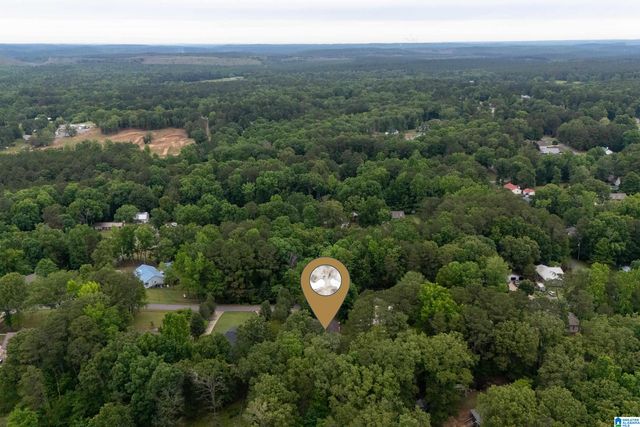 21303 MICHELLE DRIVE, Lake View, AL 35111