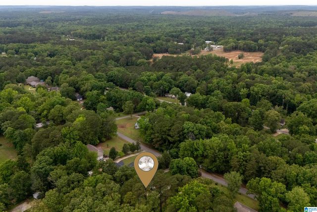 21303 MICHELLE DRIVE, Lake View, AL 35111