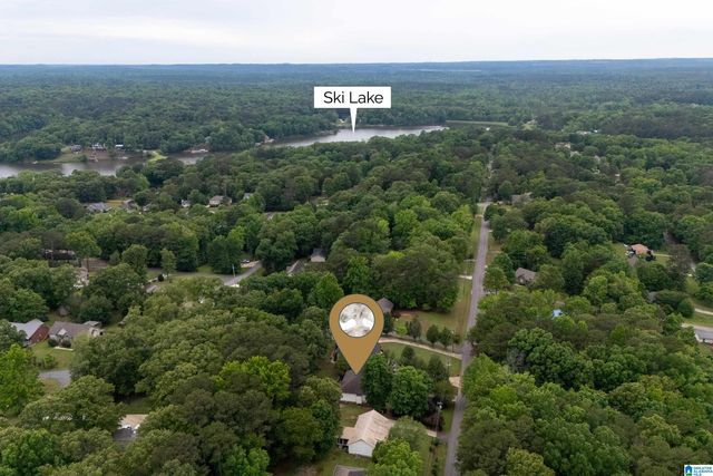 21303 MICHELLE DRIVE, Lake View, AL 35111