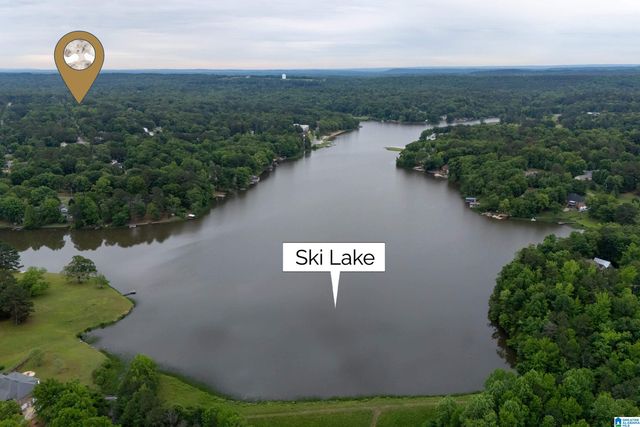 21303 MICHELLE DRIVE, Lake View, AL 35111