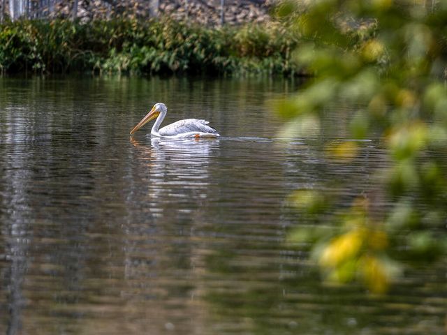 200 Conger Avenue, Klamath Falls, OR 97601