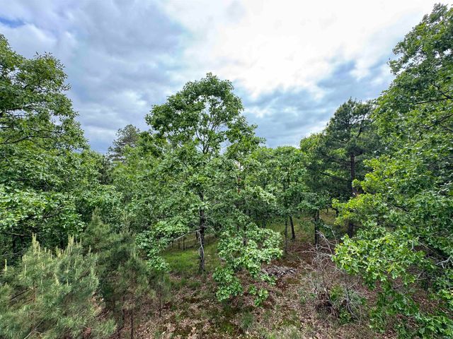 18700 Dwight Little Road, Roland, AR 72135