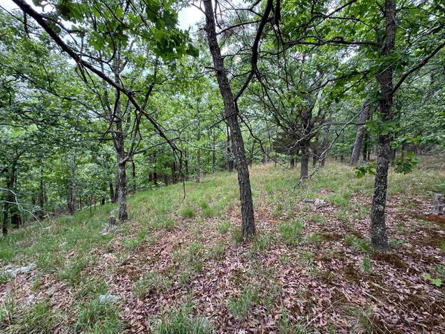 18700 Dwight Little Road, Roland, AR 72135