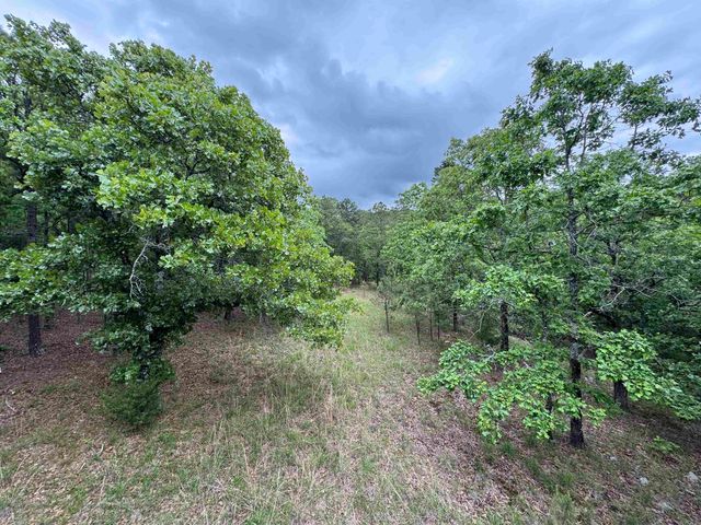 18700 Dwight Little Road, Roland, AR 72135