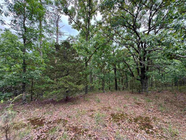 18700 Dwight Little Road, Roland, AR 72135