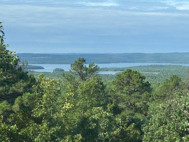 18700 Dwight Little Road, Roland, AR 72135