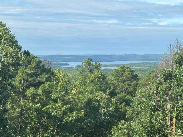 18700 Dwight Little Road, Roland, AR 72135