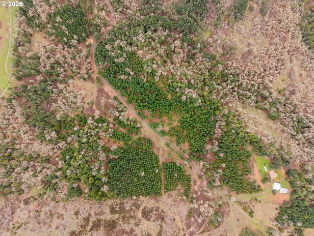 864 LARKSPUR Ln, Oakland, OR 97462