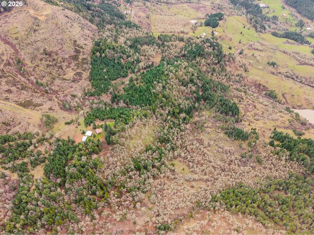 864 LARKSPUR Ln, Oakland, OR 97462