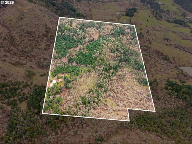 864 LARKSPUR Ln, Oakland, OR 97462