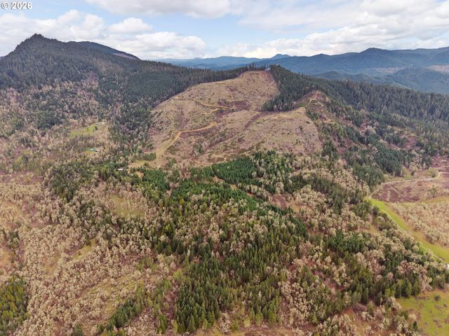 864 LARKSPUR Ln, Oakland, OR 97462